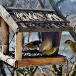 Futterhäuser für Vögel